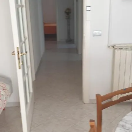 Milena Privato Apolloni- Codici Cir E Cin Visibili Su *