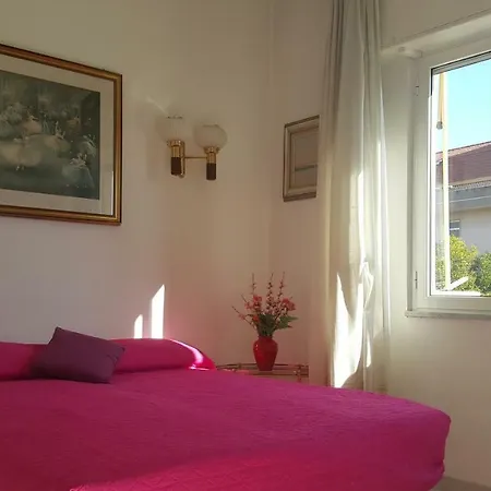 Milena Privato Apolloni- Codici Cir E Cin Visibili Su *