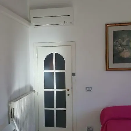 Milena Privato Apolloni- Codici Cir E Cin Visibili Su *